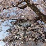 うつからの復職日記