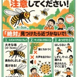 『９月から１０月 スズメバチにご注意！』の画像