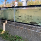 子どもの釣り場が欲しいね。