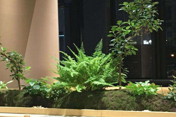 恵美の英語教室社長日記 コーチング A 音楽会 談話会 恵美の英語教室社長日記 コーチング A 音楽会 談話会