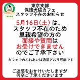 『5月16日（土）のオープンについて』の画像