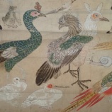 『【相川】佐渡ならでは!朱鷺が描かれた涅槃図』の画像