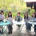 【櫻坂46】サクラミーツ、追加メンバーは...