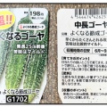 今年もゴーヤはじめました【ベランダ菜園2026】10日で驚きの成長！