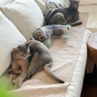 お？まぁまぁ近い✨