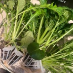 岩清水の今日は何を飲もうかな第二章