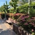 宮前公園