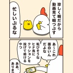 毎日でぶどり
