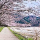 ４月のカウンセリングスケジュール