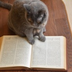 人生０手の読み