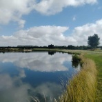 ジュニアゴルフニュージーランドのブログ