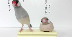 ジルが会ってくれないらしい