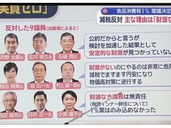 【悲報】高市政権の消費税減税に反対している９人の自民党議員が全て判明！！！！ やっぱりコイツラかｗｗｗｗｗ