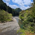有田川ダム上　解禁直前情報