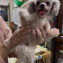 今夜もクリニックは大忙しです😅