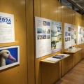 海鳥の企画展示を開催！