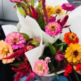 『京都移住して丸4ヵ月経過 これからも住むのは京都で』の画像