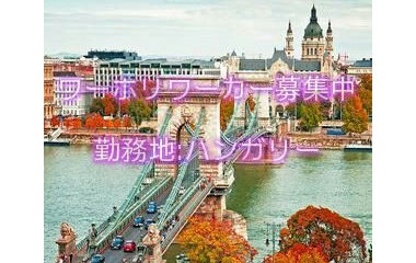 『ハンガリーワーホリ求人情報』の画像
