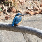 太宰府発 気まま撮り