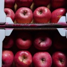 信州高山村の赤くて丸くて甘いもの