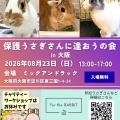 保護うさぎ譲渡会 第39回 保護うさぎさんに逢おうの会in大阪【8/23】