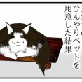 【猫との暮らし】暑がりなノルウェーニャンに、天然木のひんやりベッドを用意した結果