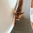 今朝は早起きりすたん