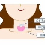 甲状腺がん、15人に 子ども検査2巡目 福島県