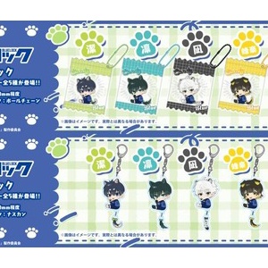 ブルーロック キャラファイングラフ -スパニッシュスタイル- : アニメ