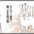 ご要求が強めの子!!