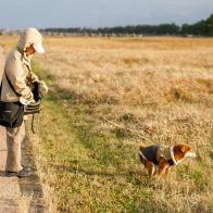 ワンポールテント