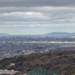 猫とガーデニング