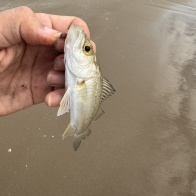 千里浜でキャンプ×釣り