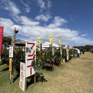 好吃　好酒　好台湾！