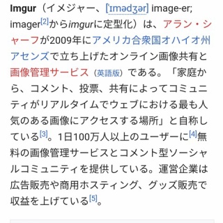 『imgur運営「あるファックな国がimgurを本来の目的ではなく画像のうpロダとして使用してる」 	』の画像
