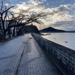 かるかんタイムズ