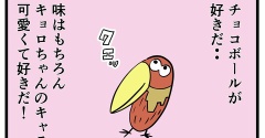 【好きだったおまけ】