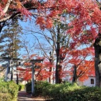 学びは遊び、遊びは学び　～和泉学習研究所公式ブログ～