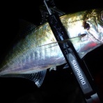  釣果で証明する釣りの理論 ── 私が思うところ。