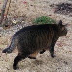 にぎにぎ　あずき