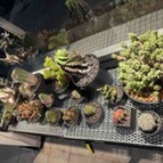  SelectionWareHouse