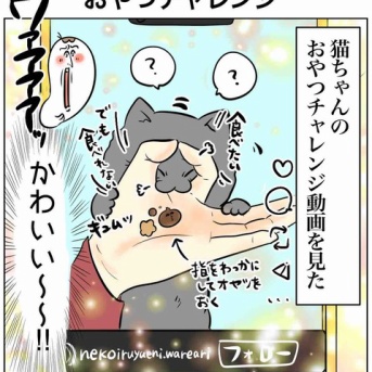愛猫達におやつチャレンジをしてもらった結果