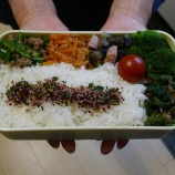 『2023/6/14のパートナーの相棒のボリューミーお弁当 【#お弁当】【1894個目】』の画像