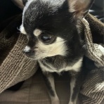 decoの小さな台所　～体にやさしい妄想料理レシピ、薬膳メモ付き～