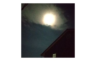 『ハーベストムーン。過ぐ世現つ世紡ぐ糸MM516』の画像