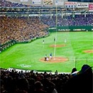 俺たちの野球、オリンピックから消えてもうたんか？ｗｗｗ