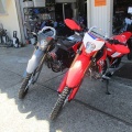 CRF250L���٤��ޤ�����
