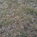 今年一番の寒さ