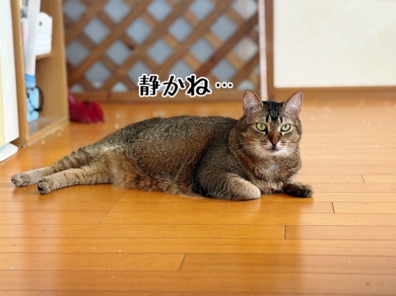 つわものどもが夢の跡…