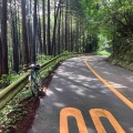 MCP7月定例会！相模湖→大月 旧甲州街道